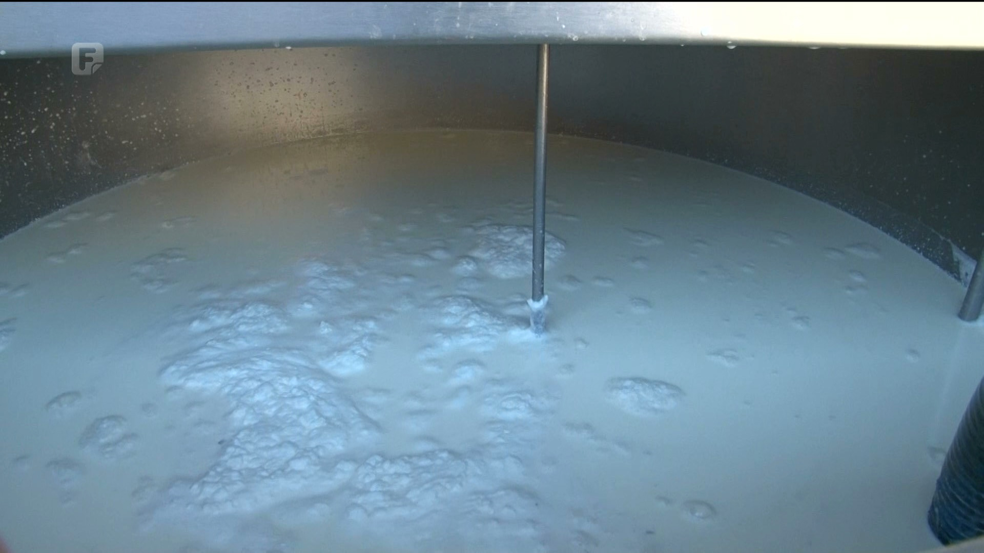 Poljoprivrednici TK-a planiraju osnovati udruženje uzgajivača simentalske pasmine goveda